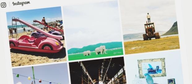 Sigue estos consejos para ser Instafamous Sigue estos consejos para ser Instafamous