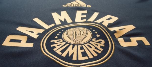 Felipe Alves pode ser o dono da camisa 1 do Palmeiras Felipe Alves pode ser o dono da camisa 1 do Palmeiras