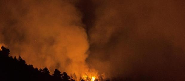 La Palma: el fuego ha devorado más de 4.800 hectáreas de bosque. La Palma: el fuego ha devorado más de 4.800 hectáreas de bosque.