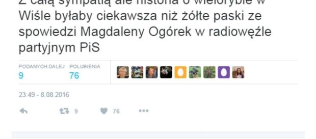 Masakra Jarka Kuźniara. Coś pięknego. Masakra Jarka Kuźniara. Coś pięknego.