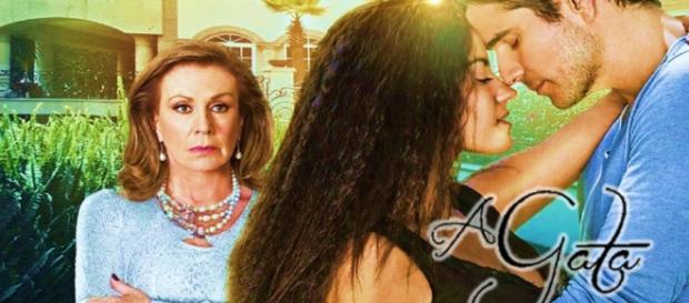 Paulo aceita se casar com Mônica na novela 'A gata' Paulo aceita se casar com Mônica na novela 'A gata'