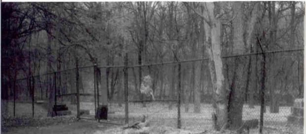 Top 10 Most Haunted Places in America - overtbuzz.com Top 10 Most Haunted Places in America - overtbuzz.com