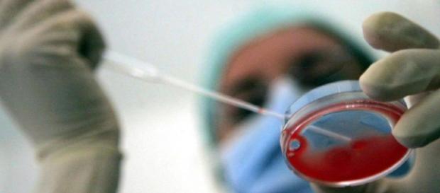 Gran Bretagna: giudici autorizzano signora 60enne alla fecondazione in vitro con gli ovuli della figlia. Gran Bretagna: giudici autorizzano signora 60enne alla fecondazione in vitro con gli ovuli della figlia.