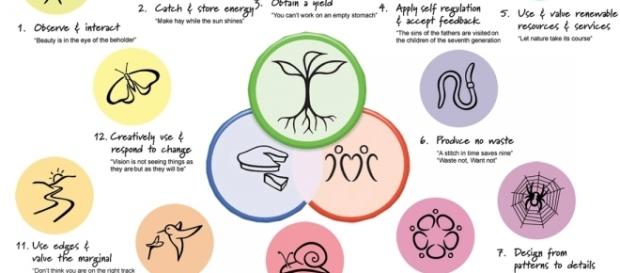 Les principes de la permaculture Les principes de la permaculture