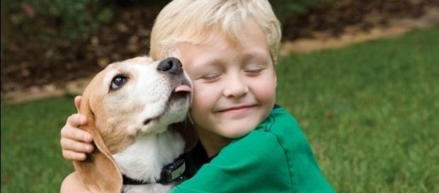 Os programas são incentivadores para estar com os animais e amá-los Os programas são incentivadores para estar com os animais e amá-los