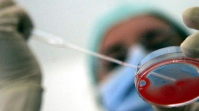 Gran Bretagna: giudici autorizzano signora 60enne alla fecondazione in vitro con gli ovuli della figlia.