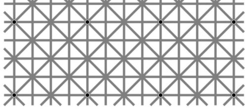 L'illusione ottica creata dal professore giapponese