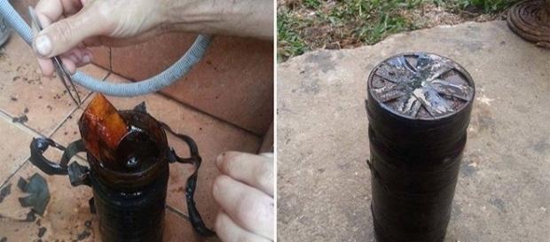 Casal descobre foto enterrada em seu próprio quintal Casal descobre foto enterrada em seu próprio quintal