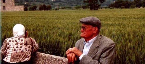 Incredibile furto del DNA degli ultracentenari di Ogliastra Incredibile furto del DNA degli ultracentenari di Ogliastra