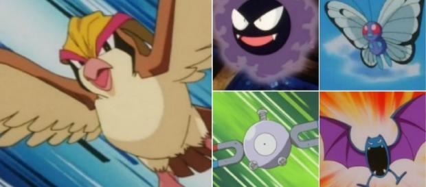 con estos pokémon voladores consigue más rápido caramelos pokémon con estos pokémon voladores consigue más rápido caramelos pokémon