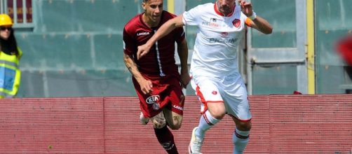 Livorno-Perugia 1-1: pareggio con qualche rimpianto per il Grifo ... - umbria24.it