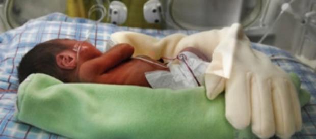 Mamá dejó un guante sobre su bebé prematuro. Al otro día, las ... - jbalvin.com Mamá dejó un guante sobre su bebé prematuro. Al otro día, las ... - jbalvin.com