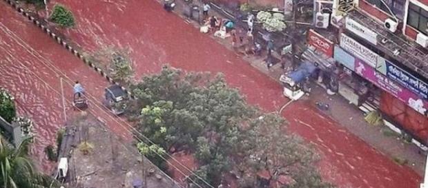 Mundo se comove e fica espantado com o rio de sangue. Mundo se comove e fica espantado com o rio de sangue.