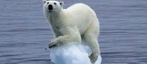 Il ghiaccio del Polo Nord regola il clima del Pianeta contribuendo alla distribuzione del calore e delle precipitazioni piovose.