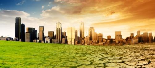 Climate Change Central - Going Green? - climatechangecentral.com