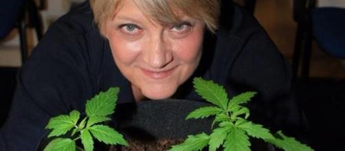 Rita Bernardini coltiva cannabis