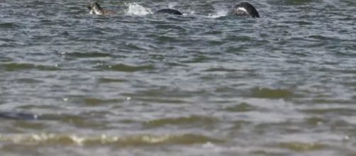 Lago di Loch Ness, mostro all'orizzonte