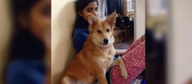 Ella ahora cuidado de su perra y dejo en el pasado a su expareja. (Foto: Internet) Ella ahora cuidado de su perra y dejo en el pasado a su expareja. (Foto: Internet)