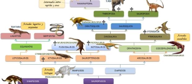 Evolución de los Vertebrados: octubre 2011 - blogspot.com Evolución de los Vertebrados: octubre 2011 - blogspot.com