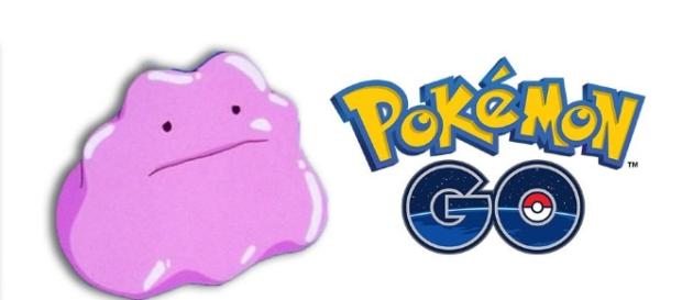 Pokémon GO: por qué Ditto no aparece en el juego Pokémon GO: por qué Ditto no aparece en el juego