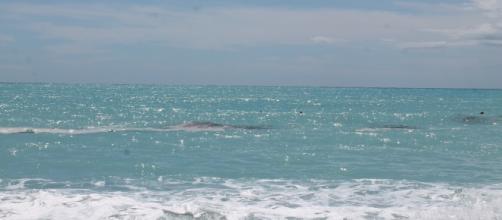 L'immagine si riferisce alle acque antistanti l'isola di Dino a Praia a Mare (CS) nell'agosto scorso.