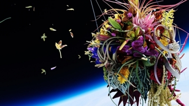 Exobiotanica, fiori nello spazio