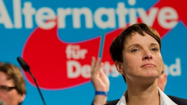 Frauke Petry, leader del partito Alternative fur Deutschland (Afd)