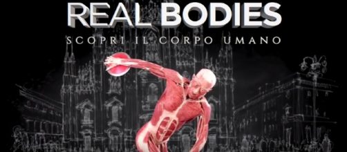 La copertina della mostra Real Bodies a Milano