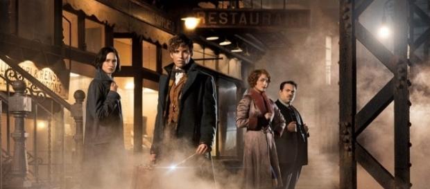 Animali Fantastici e dove trovarli, il nuovo trailer italiano ... - correttainformazione.it Animali Fantastici e dove trovarli, il nuovo trailer italiano ... - correttainformazione.it