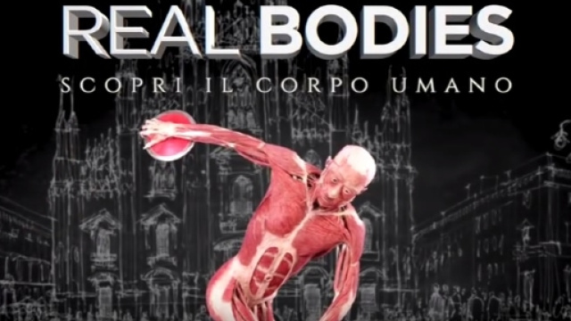 La copertina della mostra Real Bodies a Milano