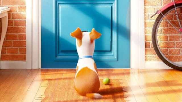 Pets – Vita da animali, ecco il terzo Trailer italiano del cartoon ... - sceglilfilm.it