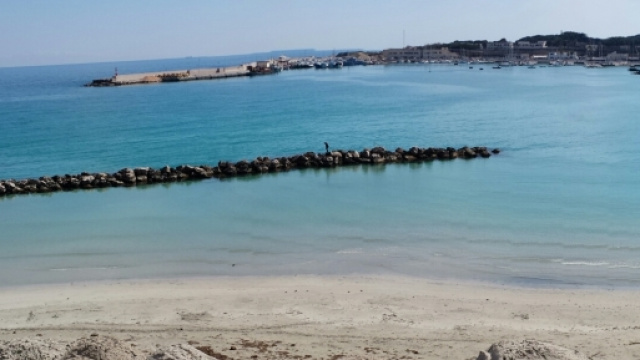 Briatore parla del Salento e del suo turismo.