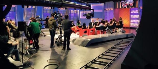 Otra pretendienta de Labrador en el trono de MYHYV. Otra pretendienta de Labrador en el trono de MYHYV.