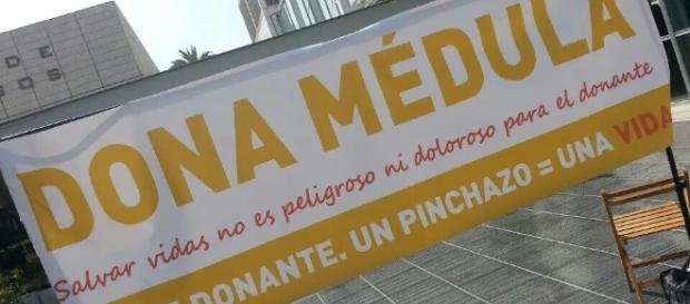 Donar médula es donar vida, dónde hacerlo Donar médula es donar vida, dónde hacerlo