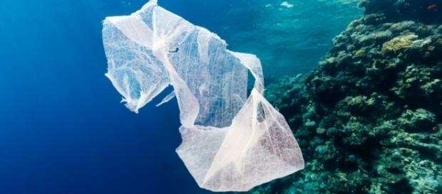 O plasă de plastic plutește în derivă prin ocean O plasă de plastic plutește în derivă prin ocean