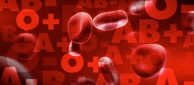 O tipo de sangue diz muita coisa sobre você O tipo de sangue diz muita coisa sobre você