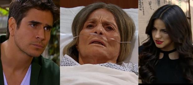 Resumo dos capítulos da novela A Gata Resumo dos capítulos da novela A Gata