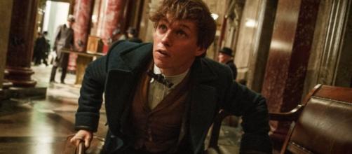 Inside the First 'Fantastic Beasts and Where to Find Them' Trailer ... - go.com