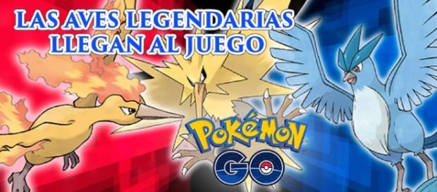 Las primeras aves legendarias del juego para ustedes. Las primeras aves legendarias del juego para ustedes.