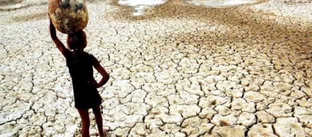 Desertificação: o planeta perde solos férteis aceleradamente - dialogosessenciais.com Desertificação: o planeta perde solos férteis aceleradamente - dialogosessenciais.com