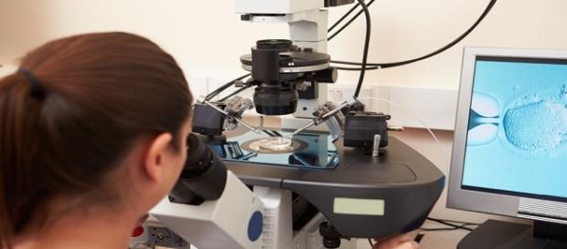 Cientistas combinaram o espermatozoide do pai e o óvulo da mãe com mitocôndrias originárias de uma doadora Cientistas combinaram o espermatozoide do pai e o óvulo da mãe com mitocôndrias originárias de uma doadora