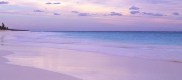 Pink Sand Beach em Harbour Island, Bahamas. Pink Sand Beach em Harbour Island, Bahamas.