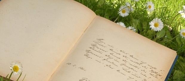 Poezja jest drugą twarzą duszy | wirtualnywydawca.pl - wirtualnywydawca.pl Poezja jest drugą twarzą duszy | wirtualnywydawca.pl - wirtualnywydawca.pl