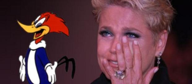 Xuxa e Pica-Pau - Foto/Reprodução Xuxa e Pica-Pau - Foto/Reprodução
