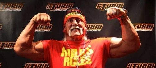Hulk Hogan Fans Club Italia - blogspot.com