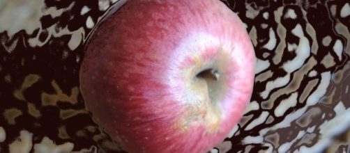 mela annurca, un frutto squisito e antichissimo benefico per il colesterolo