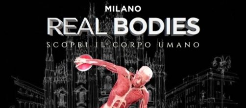 Mostra ‘Real Bodies, scopri il corpo umano’