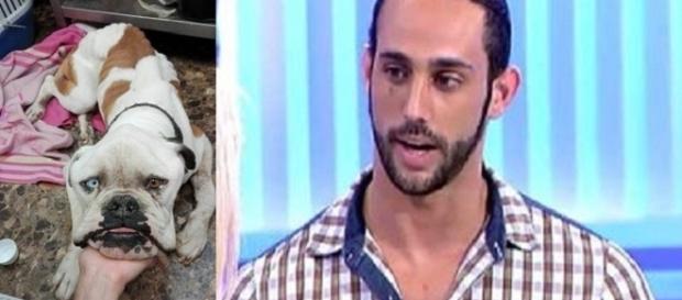 Javi C. acusado de maltrato animal hacia su perro Javi C. acusado de maltrato animal hacia su perro