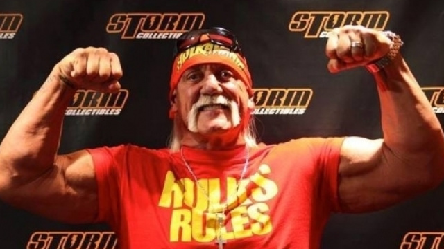 Hulk Hogan Fans Club Italia - blogspot.com