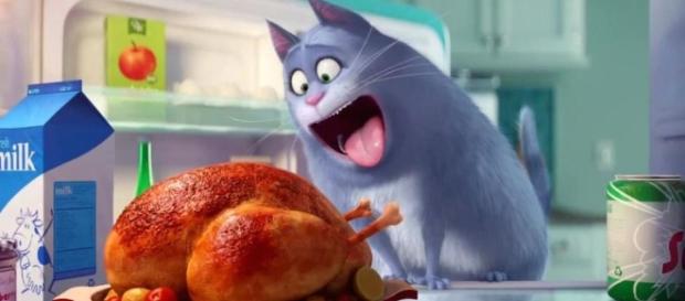 15 film di cui parleremo nel 2016 - Il Post - ilpost.it 15 film di cui parleremo nel 2016 - Il Post - ilpost.it
